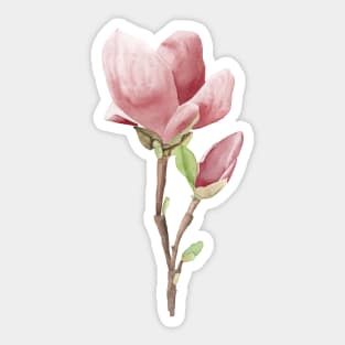 Blush pink magnolia branch Sticker